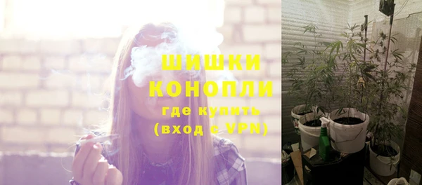 spice Козловка