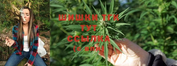 spice Козловка