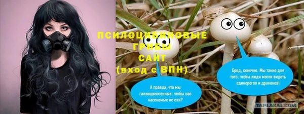 винт Коряжма