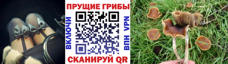 Галлюциногенные грибы прущие грибы  Красноперекопск 