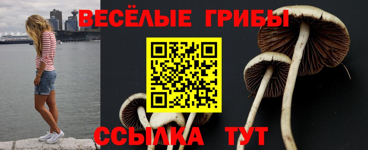 Красноперекопск  Галлюциногенные грибы GOLDEN TEACHER  Вход с VPN  Псилоцибиновые грибы MAGIC MUSHROOMS 