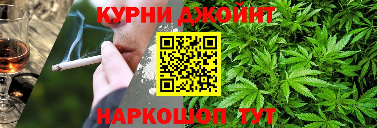 Конопля гибрид Красноперекопск